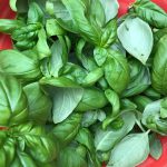 Read more about the article Pesto Genovese