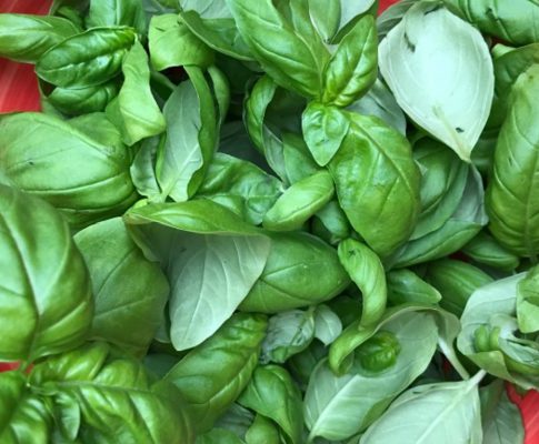 Pesto Genovese